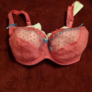 Curvey Kate Princess Balcony Bra